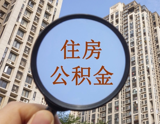 桂阳退休后查不到公积金明细了吗（退休后公积金查询不到原因）